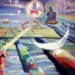 Tom Fogerty : Myopia